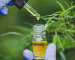 0_cbd-oil